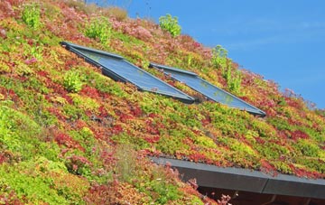 Chithurst living roof systems