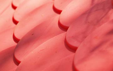 Chithurst plastic roof costs