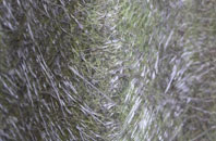 Chithurst fibreglass roof work